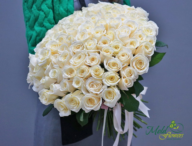101 Белая голландская роза 40 см Фото